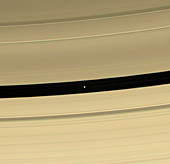 Saturn's moon Pan,Cassini image