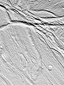 Enceladus' surface