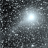 View of comet Williams