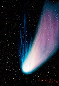 Artwork of a comet showing its dust and ion tails