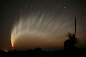 Comet McNaught,20th January 2007