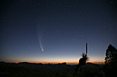 Comet McNaught,26th January 2007