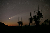 Comet McNaught,30th January 2007