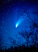 Comet Hale-Bopp 6 April 1997