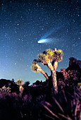 Comet Hale-Bopp