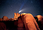 Comet Hale-Bopp