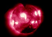Skylab X-ray image of the solar corona