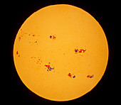 Magnetogram of the sun showing sunspot pairs