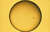 Optical photograph of the Sun showing sunspots
