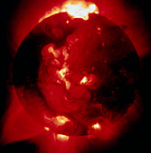 X-ray image of the whole Sun