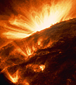 Coloured ultraviolet TRACE image of sun's surface