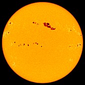 Large sunspot group