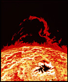 Artwork of solar prominence and sun spot