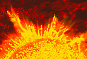Artwork of prominences on the Sun