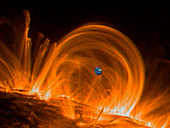 Solar coronal loops