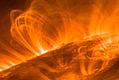 Solar coronal loops