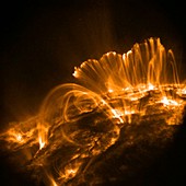 Solar coronal loops,TRACE image