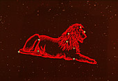 Leo the lion,composite artwork & photo