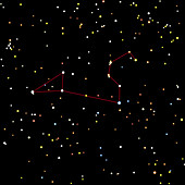 Artwork of the constellation of Leo