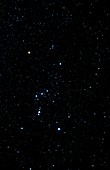 Optical image of the constellation Orion