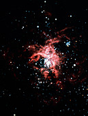 Optical photograph of the Tarantula Nebula
