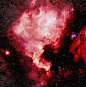 Optical image of the North America nebula