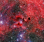 Optical image of a dark nebula on the Gum nebula