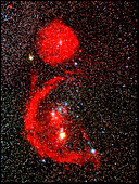 Barnard's Loop nebula