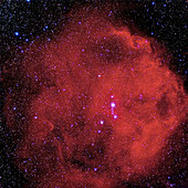 CCD optical image of nebula around Lambda Orionis