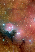 Bright and dark nebulae