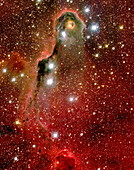 Emission nebula IC 1396