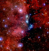 NGC 6914 nebulae