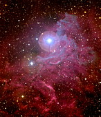 Flaming Star nebula