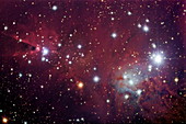 Cone and Fox Fur nebulae