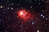 Emission nebula NGC 7538