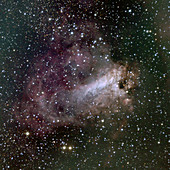 Swan nebula (M17)