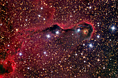 Elephant's Trunk nebula (IC 1396A)