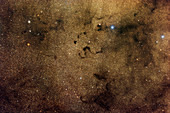Snake nebula (Barnard 72)