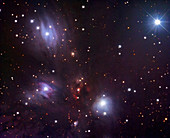 Reflection nebula (NGC 2170)