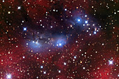 Reflection and emission nebula (NGC 6559)