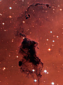 Bok globules in nebula NGC 281