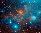 Alnilam nebula,NGC 1990