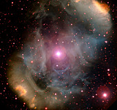 Nebula NGC 6164-5 and star HD 148937