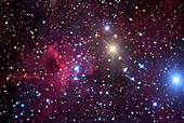 Emission nebula IC 417,optical image