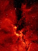 Elephant's Trunk nebula,infrared image