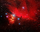 Horsehead and Flame nebulae