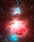 The Orion nebula