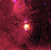 CCD optical image of the Orion Nebula,M42 & M43
