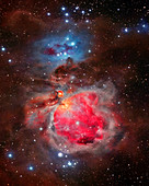 Orion Nebula