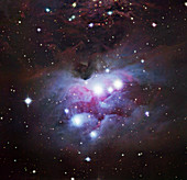 Reflection nebula NGC 1977
